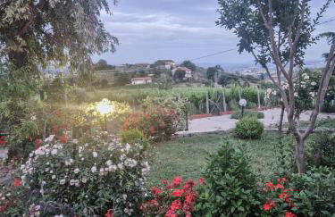 Villa Ada - Sannio - Foto 38