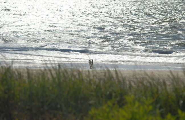 D Wilting in the House - Foto 15