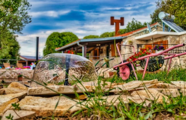 Vintage Winehouse Backov - Foto 41