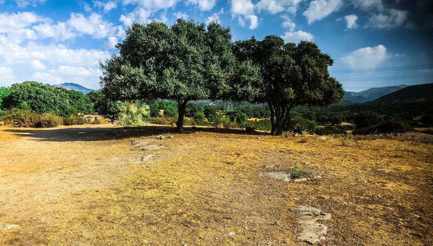 Tour in Alpedrete - Foto 2