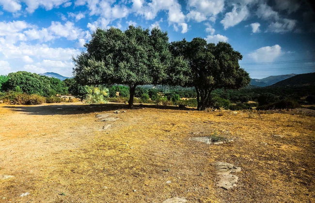 Tour in Alpedrete - Foto 2