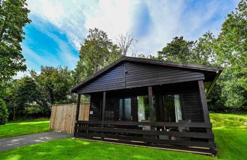 Birch 18 With Hot Tub, Newton Stewart - Foto 16