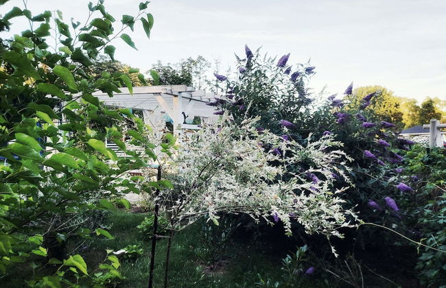 Blue Lagoon - Vacation Home in Nowe Warpno - Foto 27