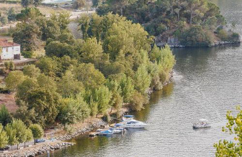 Encanto do Douro - Foto 22