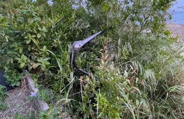 Magnifique vue sur la mer ... - Foto 58