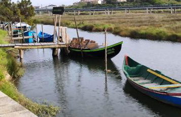 Wherry Green Guest House (PRAIA DA BARRA)❤️ - Foto 44