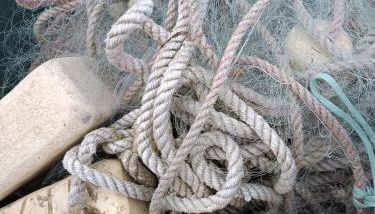 Ferienwohnung BoddenBee - Foto 3