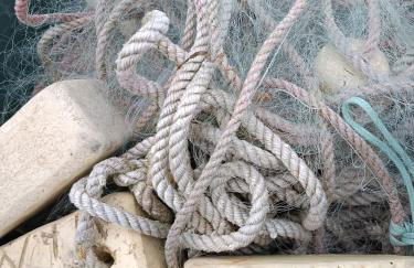 Ferienwohnung BoddenBee - Foto 3