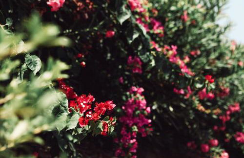 CASA DI NONNA ANNY - Foto 44