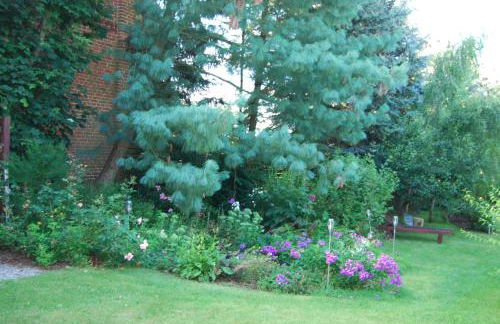 Ferienwohnung Aronia - Photo 14