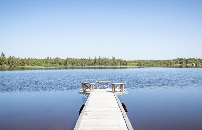 Vänneböke - Foto 26