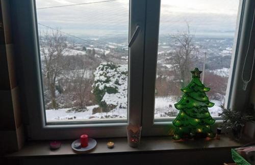 Plesivica Hillside Holiday Home with Hot -Tub - Foto 47