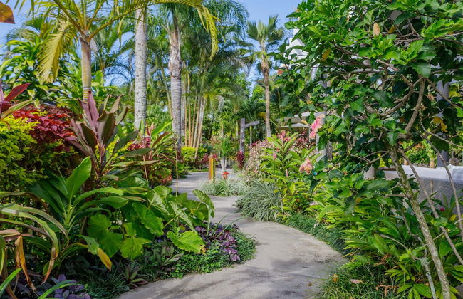 Rarotonga Daydreamer Escape - Foto 52