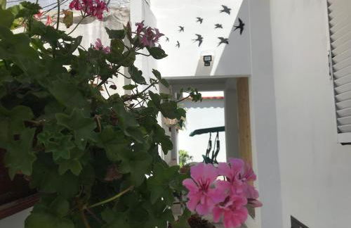 Casa dos Capinha - Photo 9