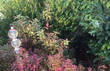 Lieblingsnest Detmold - Foto 62