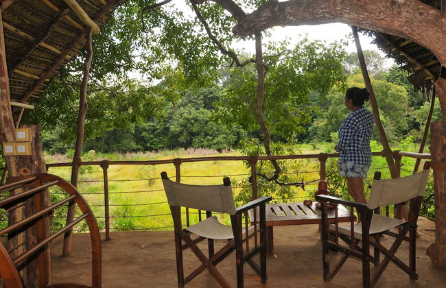 Back of Beyond - Dehigaha Ela - Photo 33