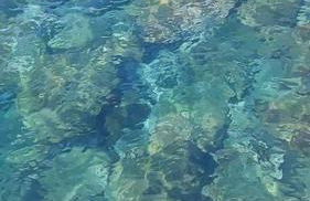 Villa de Bruma Faial da Terra - Photo 21