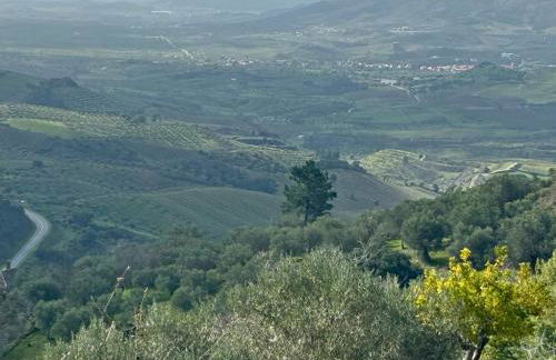 Casa Vilariça - Foto 4