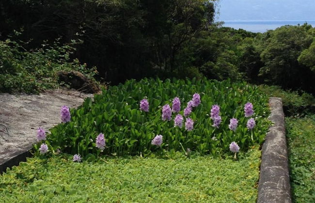 Make It Happen Farm - Foto 30