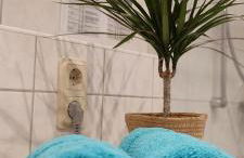 Ferienwohnung Neubert im Taubertal - Photo 16