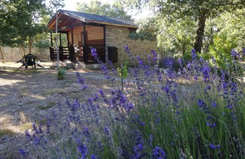 Cabañas Vallecino - Foto 7