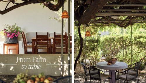 Muazzo Historic Residence, a modernized gem, By ThinkVilla - Foto 3, Garden