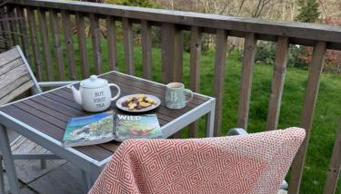 The Burrow Devon - Foto 2