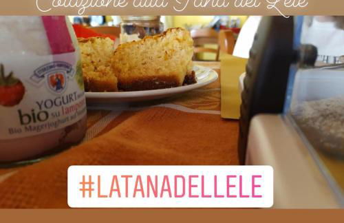 AGRITURISMO B&B BIO LA TANA DEL LELE - Foto 12