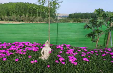 Cueva El Cortijo Gachas - Photo 23