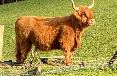 The Coffee Pot accommodation - Foto 25