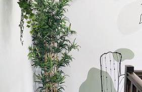 Casa Mykonos 1° linea de mar en Playa Blanca - Photo 48