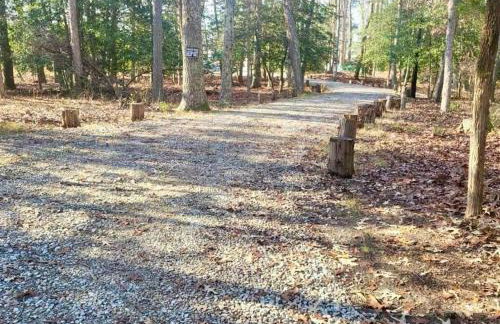 Sai Rakshit Villa on Maurice River - Foto 42