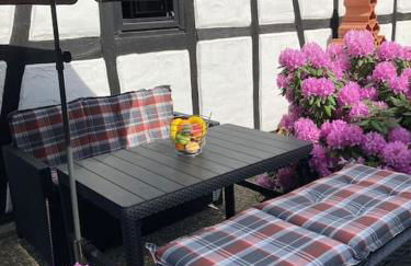 Apartment mit Wintergarten und Terrasse in ruhiger Lage im schönen Taunus - Foto 8