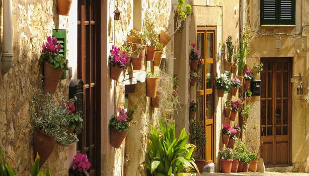 Palma de Mallorca y Valldemossa - Tour de un día entero - Foto 3