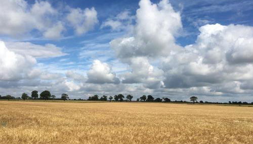 Walnut Tree Lodge - Foto 3