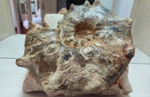 APARTAMENTO VALDEARENAS - Foto 40