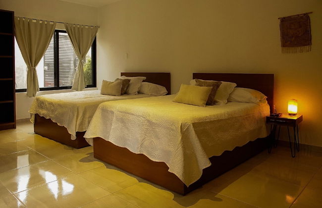 Stay Tropical Downtown Studios - Foto 4