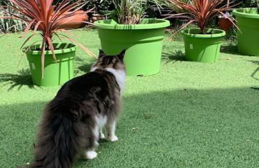 HOMEYPIC T3 en rez de jardin proche de Lyon - Foto 14