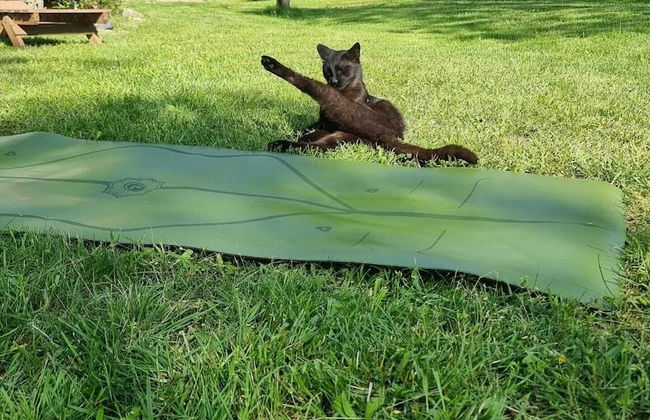 Viewtopia - The Secret Land - Photo 75