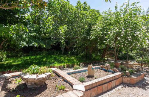 Viña Chica - Foto 55