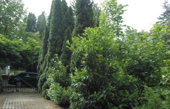 Cozy Family Cottage at the Lake Balaton - Foto 40