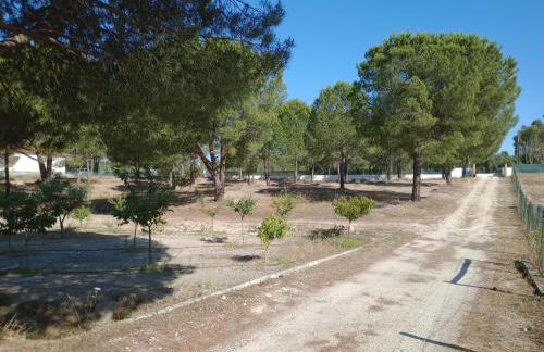 Quinta Fula Fula - Foto 21