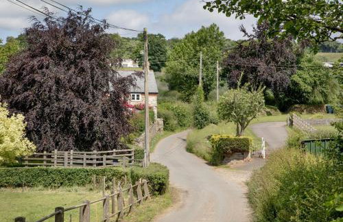 Birch House Studio - Foto 33