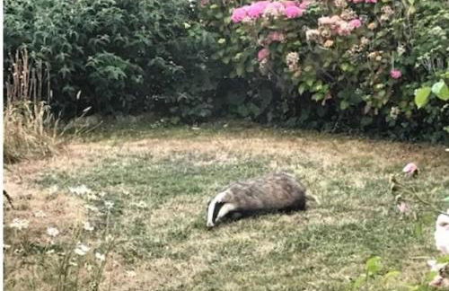 Mole Cottage - Foto 113