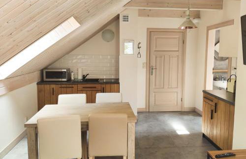 Mazursko - komfortowe apartamenty nad jeziorem, sauna, kominki na parterze - Foto 30