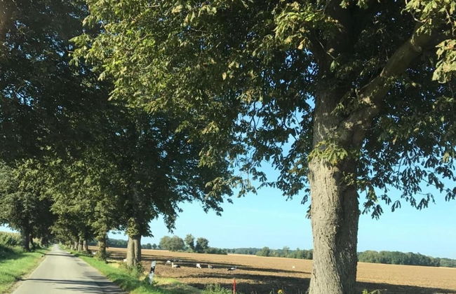 Geraeumige Ferienwohnung in Boddin mit Garten - Foto 21