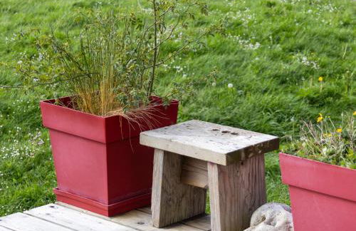 La Cafoutche Tiny - Foto 20