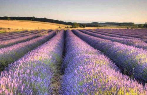 Freshly decorated apartment 10 mins from Cotswolds Child Friendly Great location with plenty of nearby free parking freestanding bath and outdoor private terrace area - Foto 23