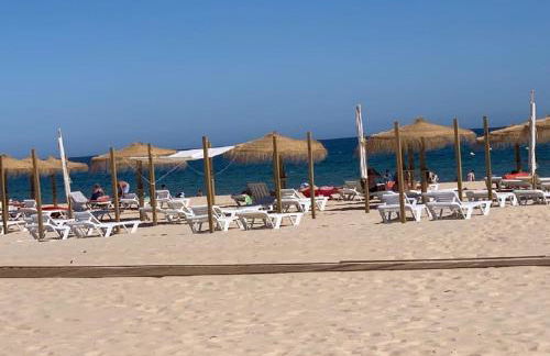 Altura Beach AL - Photo 26