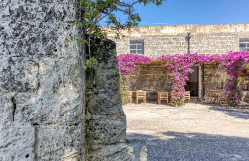 BioMasseria Santa Lucia - Foto 61